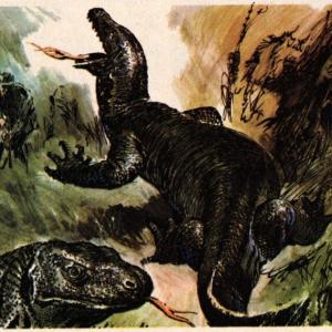 Ohníček (ročník 1980-81) - ilustrace k povídce Draci z Komoda